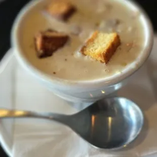 Soup of the Day