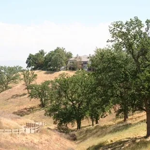 Tracks behind the park