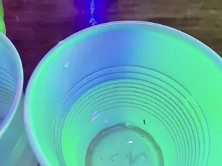 Thirsty Nickel