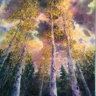 "Aspen Stand" acrylic on canvas by Angus Macpherson