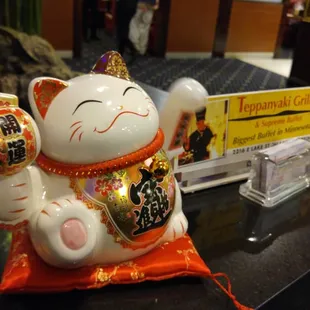 Cute cat. Love seeing this guy.