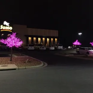 Outside lit up at night