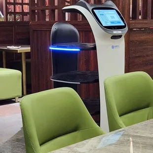Cat robot that brings food
