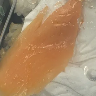 Salmon