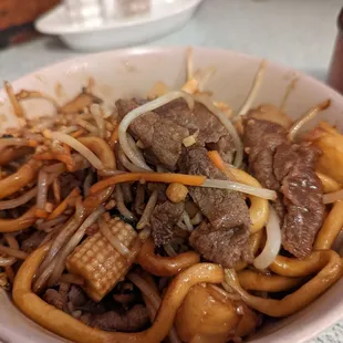 ows a bowl of beef and noodles