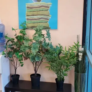 Environmental Friendly method to clean the garmet.