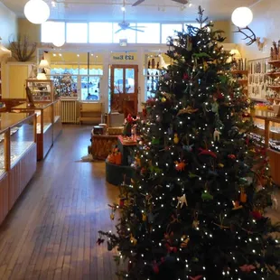 Inside Sun Country Traders