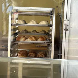 Plain Croissant waiting to rise