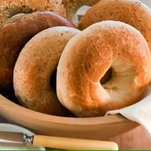 Daily Fresh bagel