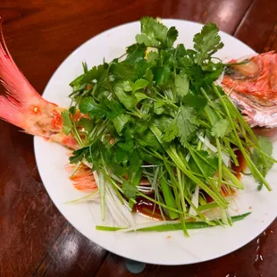 My golden eye snapper dish