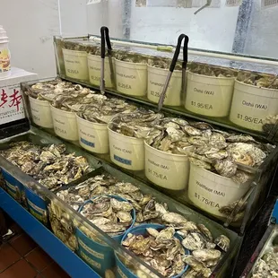 Oysters!