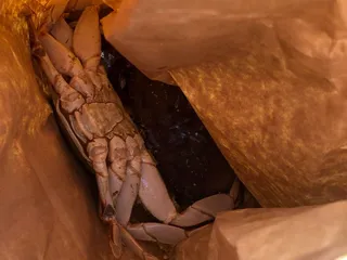 Alioto Lazio Fish Company