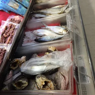 a variety of fish on display