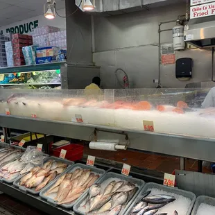 fish on display for sale