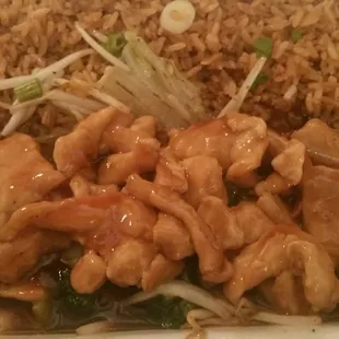 Teriyaki chicken combo sans egg roll