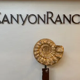 Canyon Ranch - Tucson