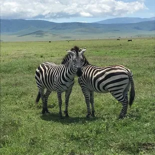 Ngorogoro Conservation Area