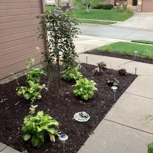 a flower bed in front of a house