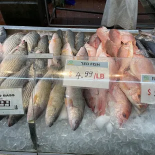 Fish market