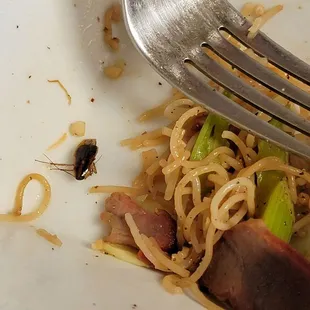Chinese noodles mix roaches