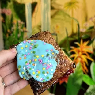 Fruit and grain blueberry passion fruit pop tart