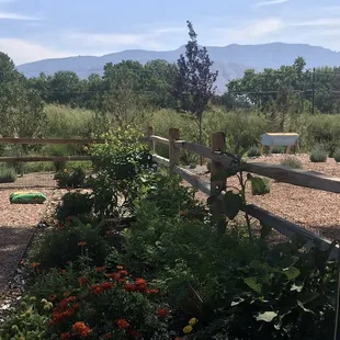 Fenced in garden area