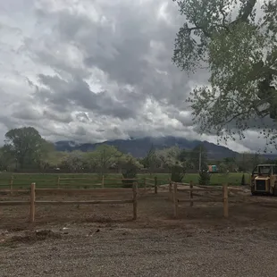 Fenced in garden area