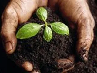 Compost Del Rio Grande