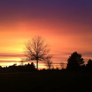 View from my patio.