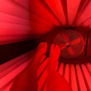 Red light therapy bed.