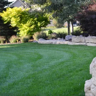a stone wall in a backyard