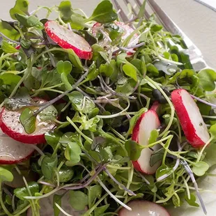 Shoots &amp; Sprouts salad served with homemade vinaigrette