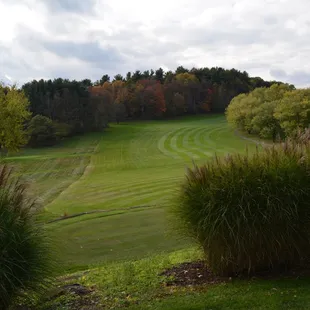 a view of a golf course