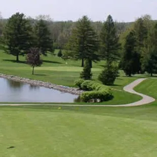 The pristine green of #3