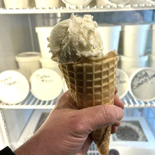 Double Scoop in a Waffle Cone