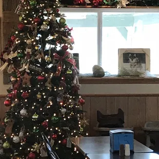 Christmas decorations