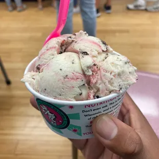 Kitty Kitty Bang Bang single scoop