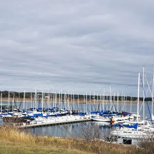 a marina full of sailboats