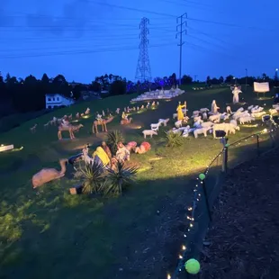 Sundar Shandi Holiday Display