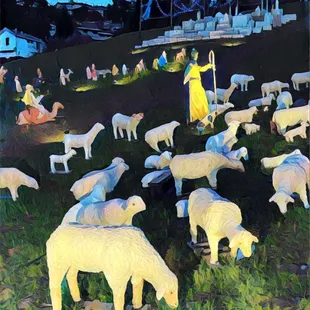 Sundar Shandi Holiday Display