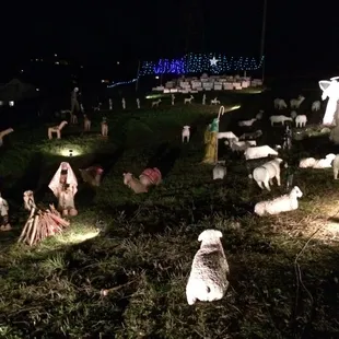 Sundar Shadi's display at night.