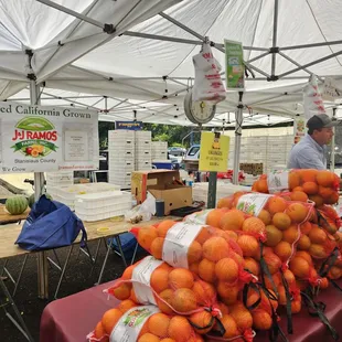 Sunday Farmers Matket back to normal: under the freeway!