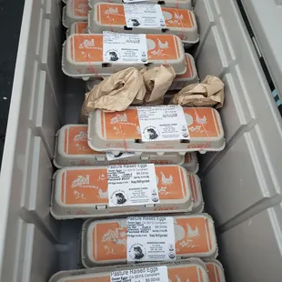 cooler full of eggs