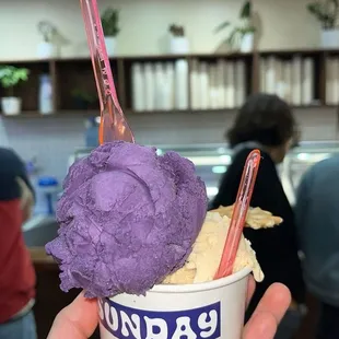 Taro Ube and Injeolmi