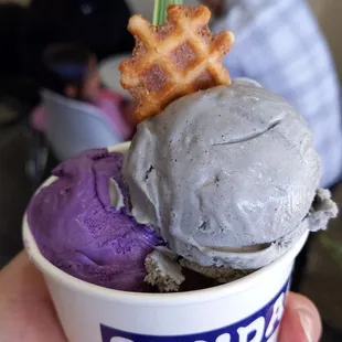 Taro Ube ice cream and Black Sesame ice cream.