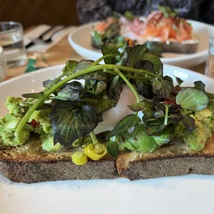 Avocado Toast