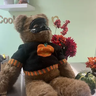 Bat Bear