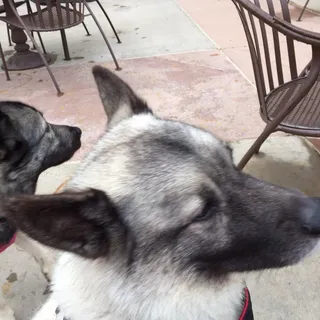 Kodi B.