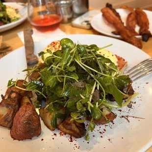 Salmon Benedict, side of thick cut bacon  and a hibiscus mimosa