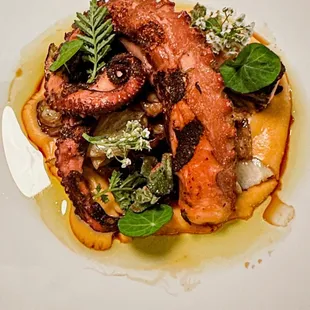 OCTOPUS